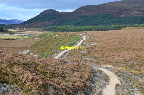 Photo 6"x4" Realigned path, Glen Feshie Carnachuin c2014
