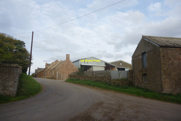 Photo 6"x4" Rural East Lothian : Longyester Gifford c2014