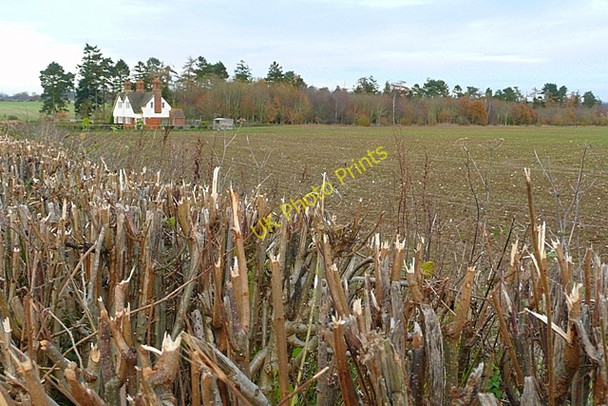 Photo 6"x4" North of Anvilles Anvilles c2008