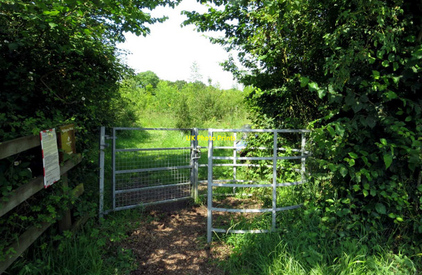 Photo 6"x4" Kissing gate in Piddington Wood Piddington\/SP6417 c2014