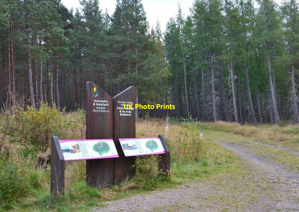 Photo 6"x4" Information boards for nature reserve Lagganlia c2014