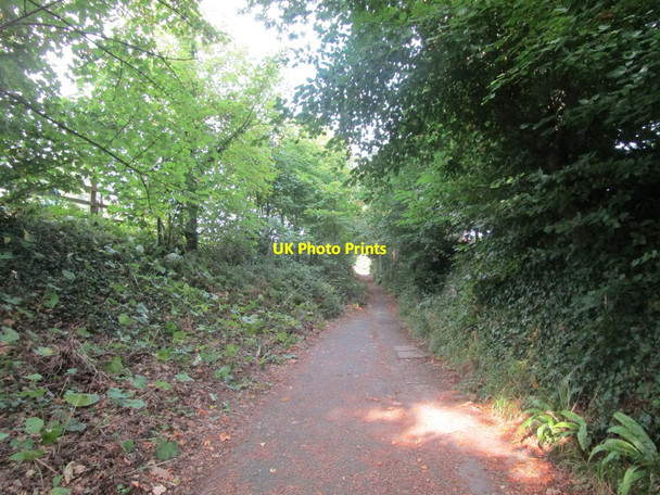 Photo 6"x4" Old Teignmouth Road Dawlish c2014
