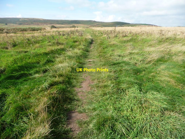 Photo 6"x4" Path on Baildon Moor Baildon c2014