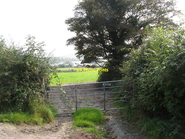 Photo 6"x4" Field gate on the north side of St Peter's Lough, Co Monaghan Drumakill c2014