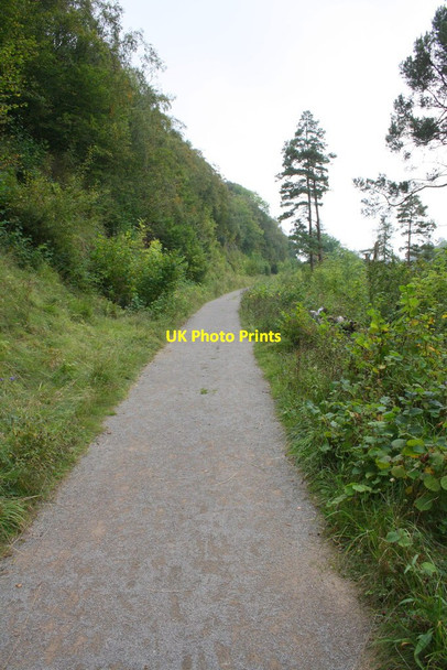 Photo 6"x4" Path on dismantled railway line through Crag Wood Smardale c2014