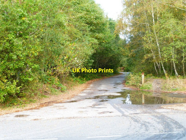 Photo 6"x4" Looking along lane going north from Vigo Lane Yateley c2014