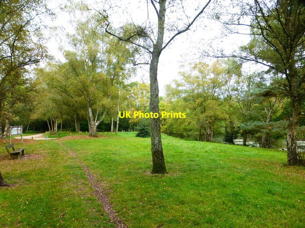 Photo 6"x4" Path on Yately Common Cricket Hill c2014