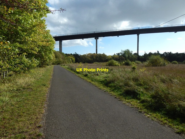 Photo 6"x4" Path in the Saltings Erskine c2014