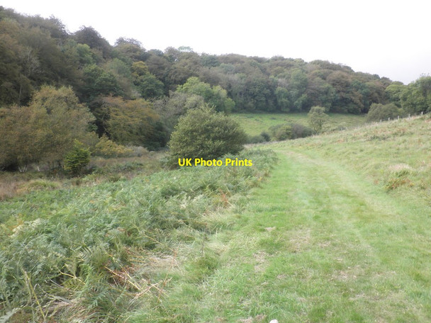 Photo 6"x4" Bridleway to Stolford Clatworthy\/ST0530 c2014
