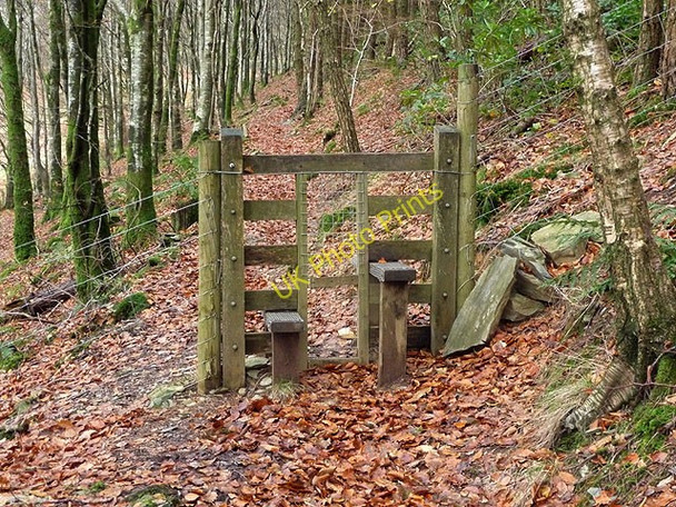 Photo 6"x4" Stile on Cefn Creigiau Cwmystwyth c2008