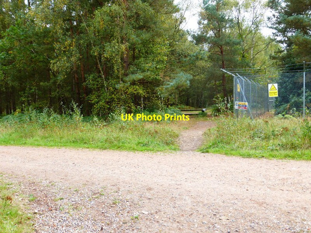 Photo 6"x4" Minor track reaches main east-west bridleway on Yately Common Darby Green c2014