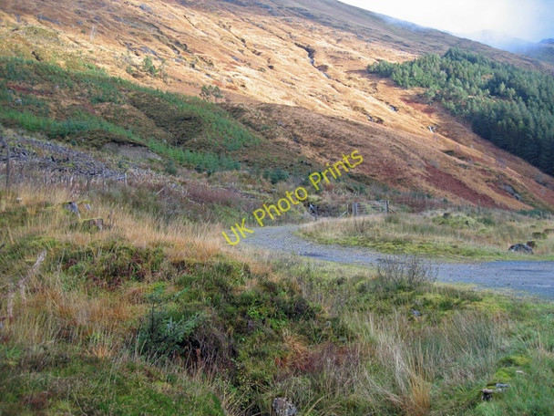 Photo 6"x4" Glen Shiel forest track River Shiel c2008