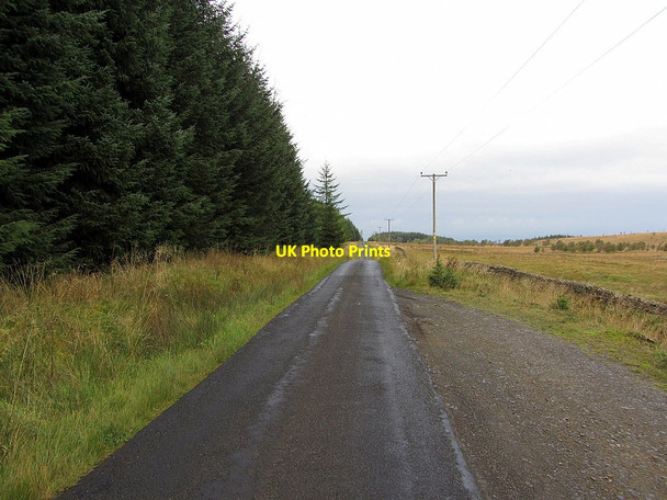 Photo 6"x4" Ward Lane near Broadpool Common Stonehaugh c2014