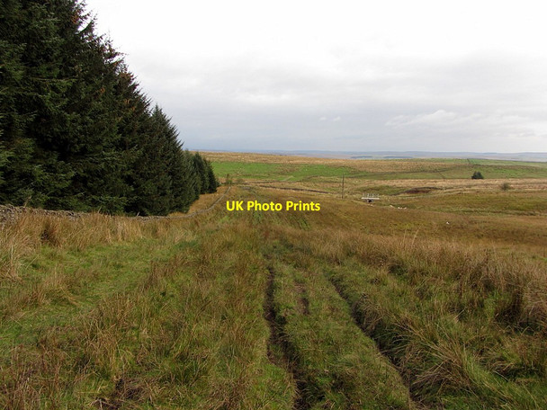 Photo 6"x4" Rough track on Broadpool Common Stonehaugh c2014
