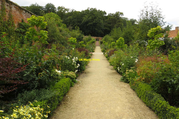Photo 6"x4" The Parents' Walk in Buscot Park Buscot c2014