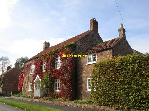 Photo 6"x4" Autumn colour Nunburnholme c2014