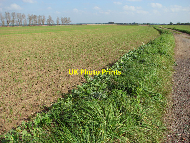 Photo 6"x4" Crop fields by Little Barningham village Little Barningham c2014