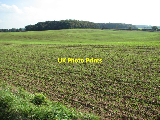 Photo 6"x4" Undulating fields east of Little Barningham Little Barningham c2014