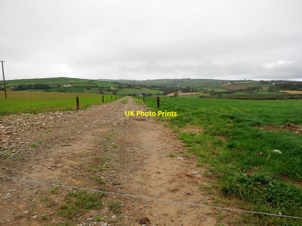 Photo 6"x4" New track through a field Bealad c2014