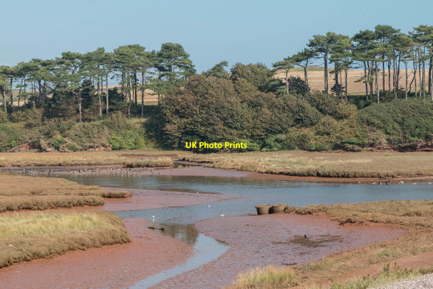 Photo 6"x4" Otter Estuary Nature Reserve, Budleigh Salterton, Devon Budleigh Salterton c2014 P1