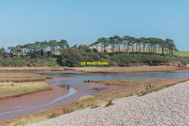 Photo 6"x4" Otter Estuary Nature Reserve, Budleigh Salterton, Devon Budleigh Salterton c2014 P2