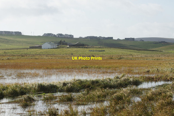 Photo 6"x4" Norwick Meadows Kirkaton c2014