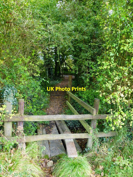 Photo 6"x4" Footpath approaches North Stroud Lane from the west Langrish c2014