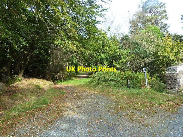 Photo 6"x4" Wicklow Way above Glenmalure Lodge Greenan\/T1487 c2014
