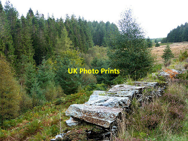 Photo 6"x4" Small valley beside the Military Road Greenan\/T1487 c2014