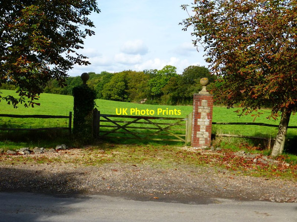 Photo 6"x4" Elegant field entrance at Harroway Farm Weston\/SU7221 c2014