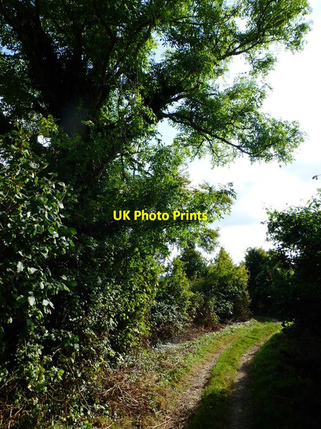 Photo 6"x4" Bend on Limekiln Lane Ramsdean c2014