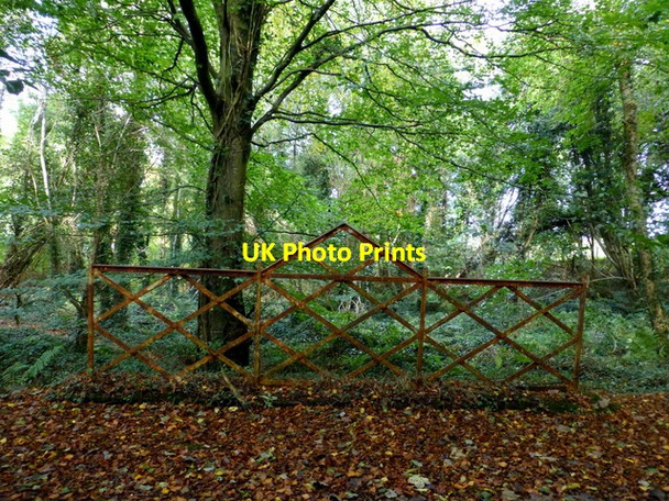 Photo 6"x4" Bridge and railings, Seskinore Seskinore c2014