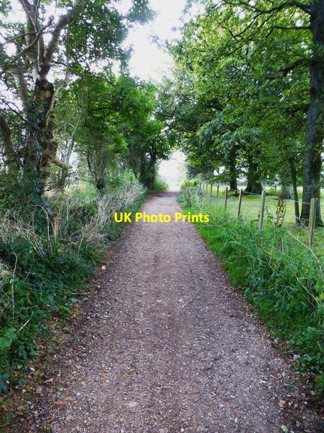 Photo 6"x4" The South Downs Way along the top of Tegdown Hill Clanfield\/SU7016 c2014