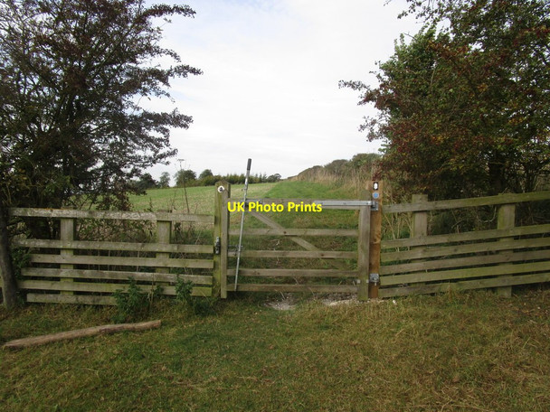 Photo 6"x4" Gate on the Yorkshire Wolds Way Nunburnholme c2014