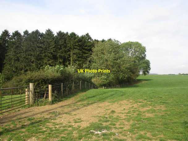 Photo 6"x4" The Yorkshire Wolds Way above Thorns Wood Nunburnholme c2014