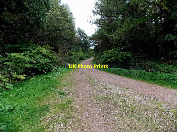 Photo 6"x4" Track into  Coed Parc-y-Van Caerphilly\/Caerffil c2014