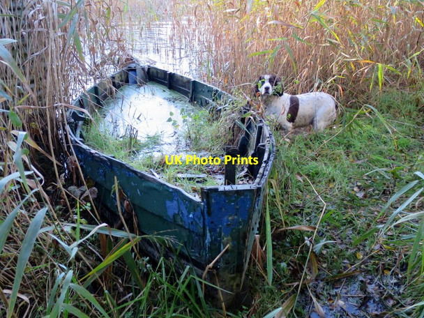 Photo 6"x4" Butt transportation to the butts Windyridge\/NJ2367 c2014