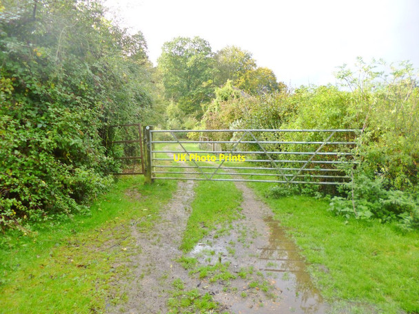Photo 6"x4" Woodfalls, gates Downton\/SU1821 c2014