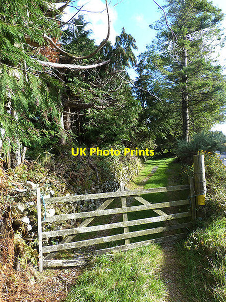Photo 6"x4" Gated entrance at Ballinacor Greenan\/T1487 c2014