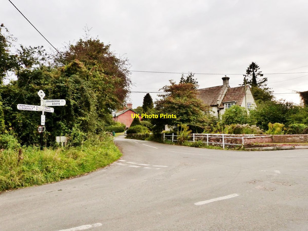 Photo 6"x4" Road junction at the entrance to Edmondsham House Edmondsham c2014