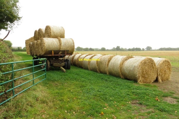 Photo 6"x4" Straw bales near Dolly's Barn Bletchingdon c2014