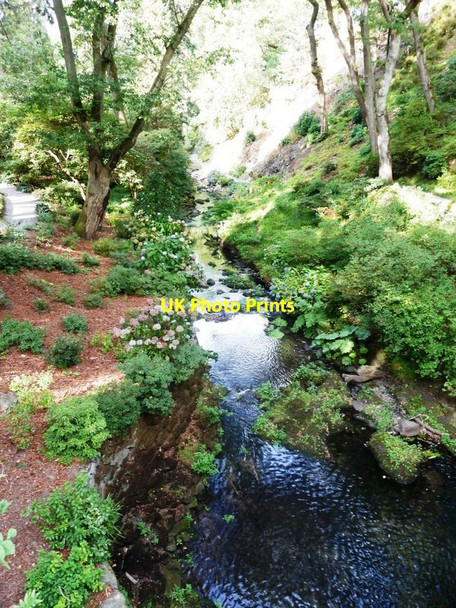 Photo 6"x4" Stream near waterfall in the Dell at Bodnant Garden Tal-y-cafn c2014