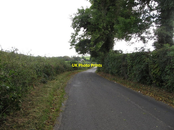 Photo 6"x4" View south-eastwards along the northern section of Bonecastle Road Downpatrick c2014