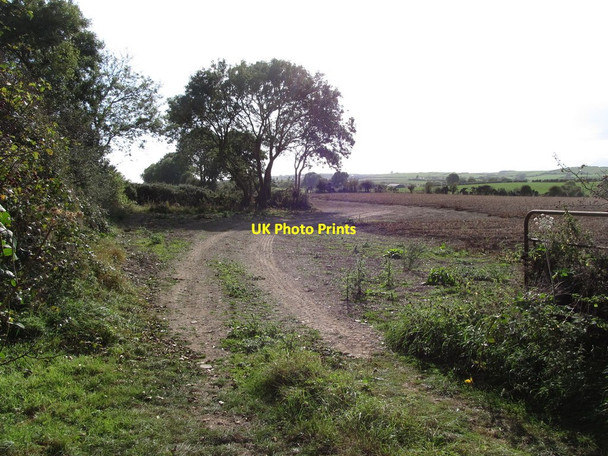 Photo 6"x4" Ploughed land next to the path leading to the Ballynoe Stone Circle Downpatrick c2014