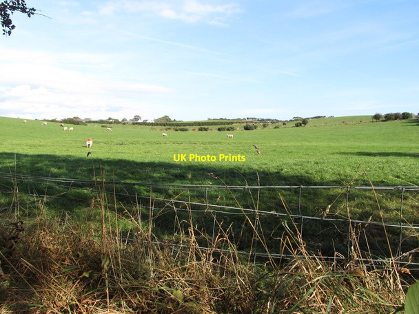 Photo 6"x4" Grazing land between Ballynoe Road and the Ballynoe Stone Circle Downpatrick c2014