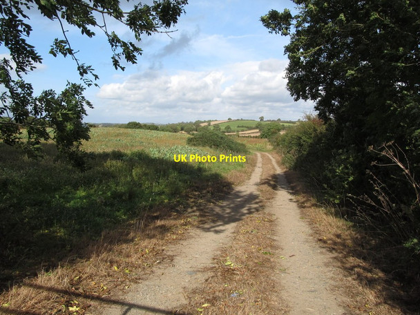 Photo 6"x4" Field access lane on the Erenagh Road, Ballynoe Downpatrick c2014