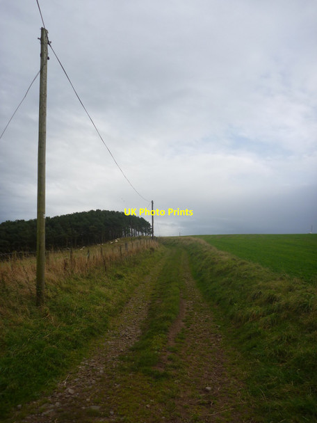 Photo 6"x4" Rural Berwickshire : On Track To Lumsdaine Dowlaw Burn c2014
