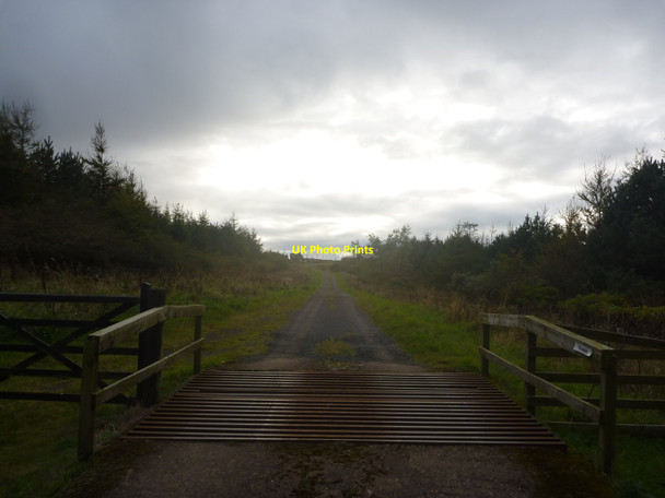 Photo 6"x4" Rural Berwickshire : To The Beacon Coldingham c2014