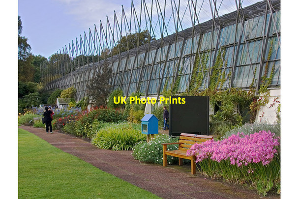 Photo 6"x4" Glasshouses, Edinburgh Botanic Garden Inverleith c2014