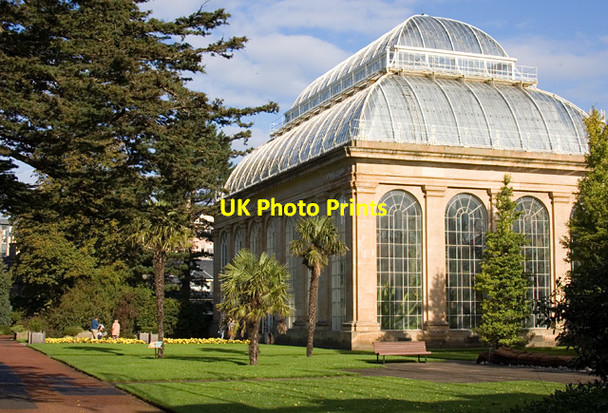 Photo 6"x4" Tropical Palm House, Edinburgh Inverleith c2014